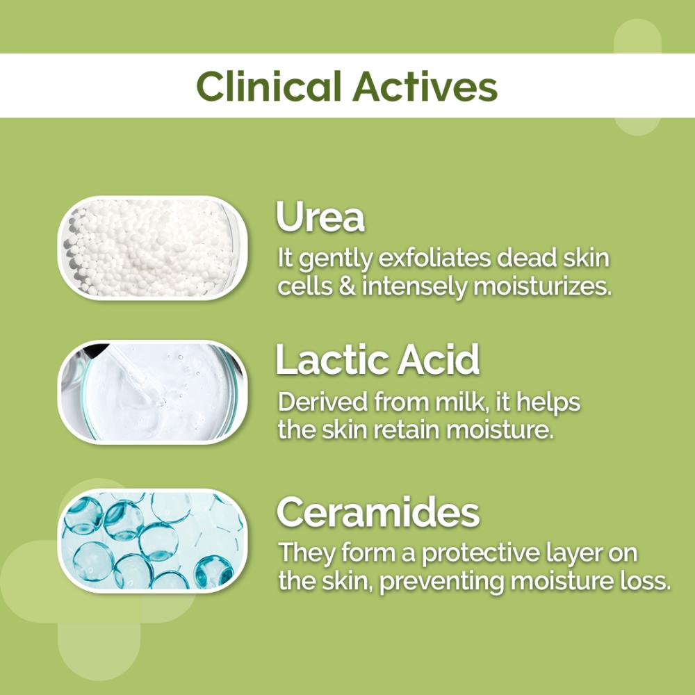 The Derma Co 4% Urea Deep Moisturizing Cream (100g) - Dry, Rough & Compromised Skin
