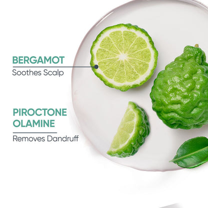 Matrix Biolage Professional Scalppure Anti-Dandruff Conditioner (98g)