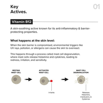 Minimalist Vitamin B12 + Repair Complex 5.5% Face Moisturizer (30ml)