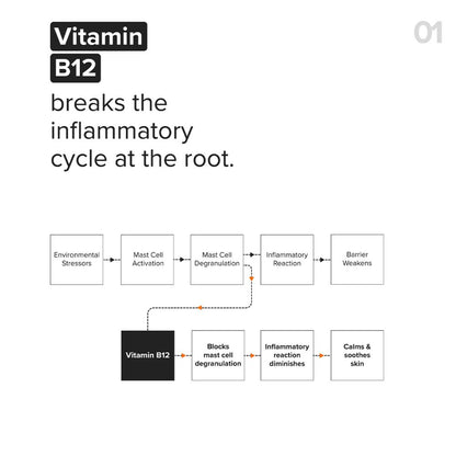 Minimalist Vitamin B12 + Repair Complex 5.5% Face Moisturizer (30ml)